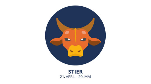 stier
