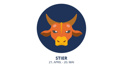 stier