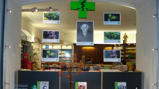 schaufenster totale rathaus-apo