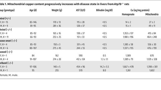 160621 zahle kupferspeicherkrankheit helmhotlz zentrum