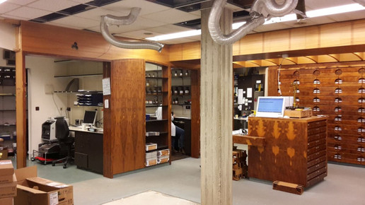 Altstadt-Apotheke Goettingen Freilegung Decke Altstadt-Apotheke