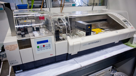 labor charite8 andreas domma