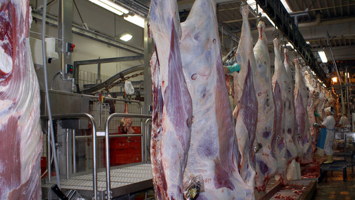 schlachthaus schweine udo boehlefeld pixeliode