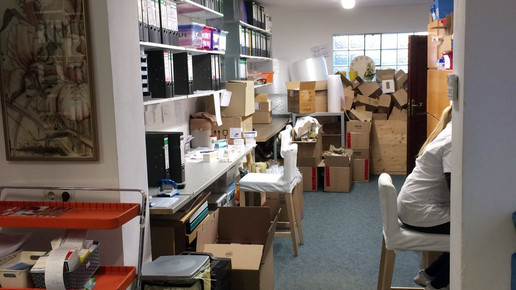 spaniel stefan backoffice3 loewen-apo spaniel