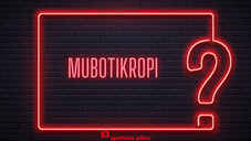 Welches Wort wird gesucht?