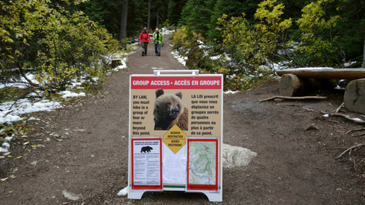 Baerenwarnung Kanada aa