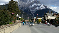 Zwischen Grizzlys und Rocky Mountains