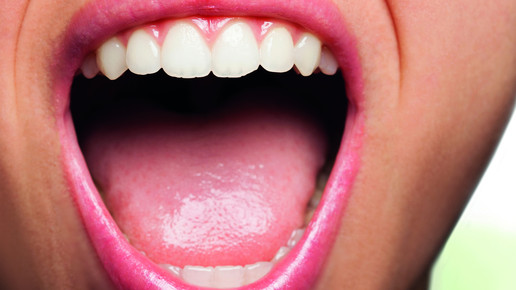 Speicheldrüsen sind Biofilteranlagen