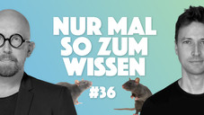 Lieferdienste: Wer zahlt die letzte Meile?