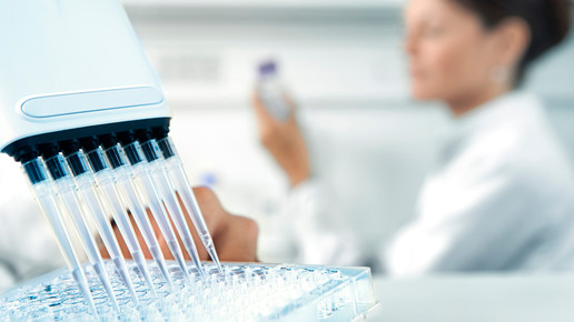 alkabello labor alkabello