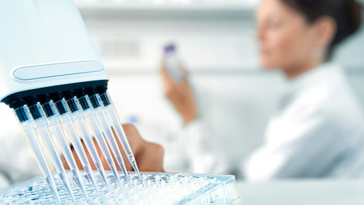 alkabello labor alkabello