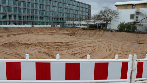 roche bauplatz mannheim roche