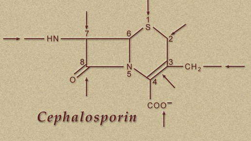 cephalosporin struktur CDC Susan Lindsley