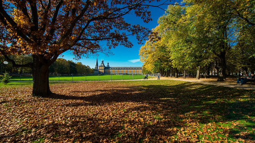 uni bonn volker- lannert-universitaet-bonn