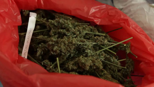 Cannabis OMK2-screenshot