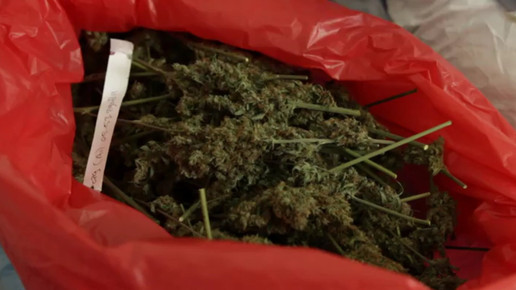 Cannabis OMK2-screenshot