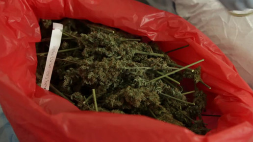 Cannabis OMK2-screenshot