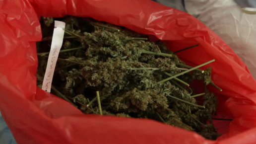 Cannabis OMK2-screenshot