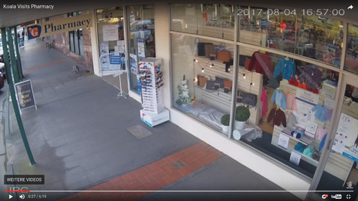 Koala in Apotheke 3 Screenshot