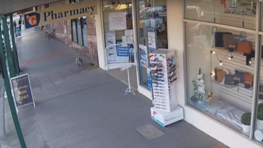 Koala in Apotheke 3 Screenshot