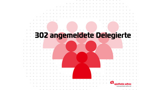 angemeldete-delegierte