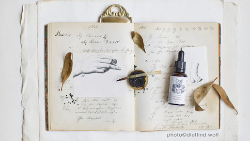 loewen-apo nagelpflege dietlind wolf