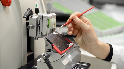 R-M-labor-4-rottapharmmadaus