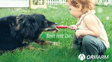 1506222 Aktion Teilkraft 637x357