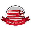 Neue Termine für die beliebten Caelo Campus-Webinare!