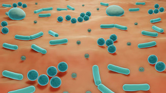 Hautcremes können dem Mikrobiom schaden