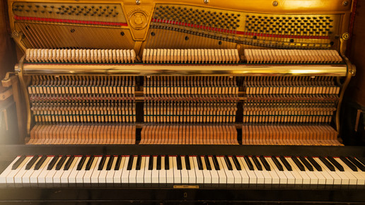 Rrevoice of pharmacy butterfly piano7