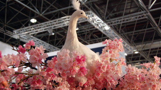 150930 expopharm impressionen aa 33