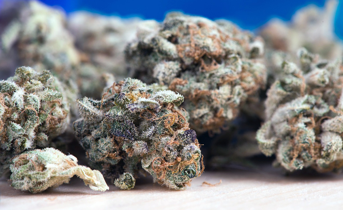 Apotheke eröffnet Cannabis-Webshop
