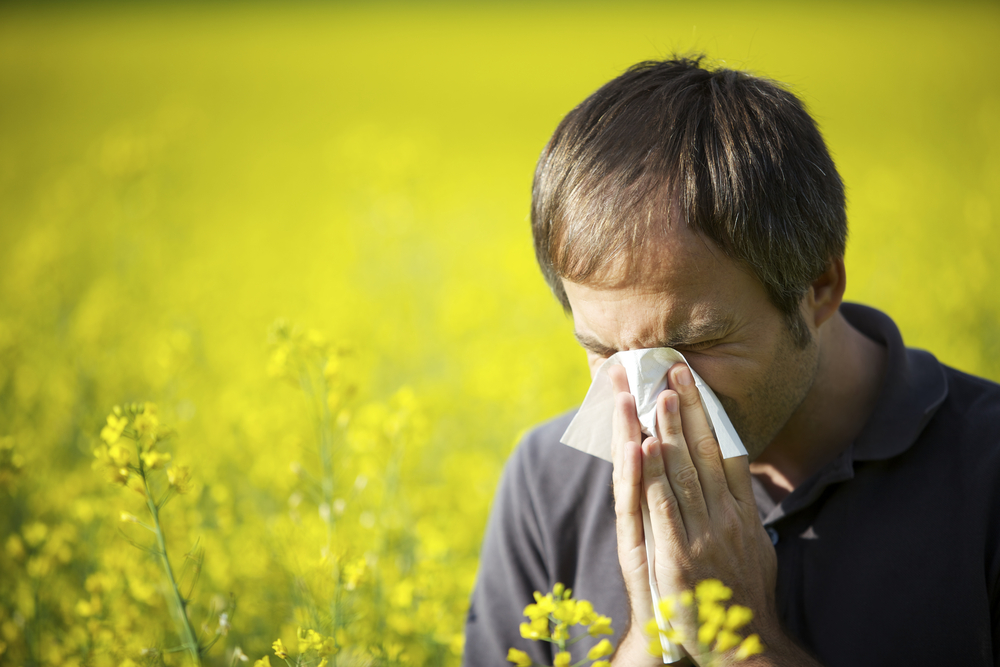 Höhere Belastung für Pollenallergiker
