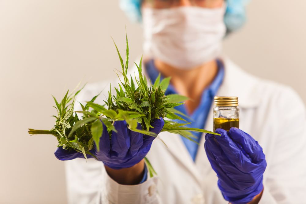 Cannabis: Medizinischer Nutzen führt zu Neueinstufung